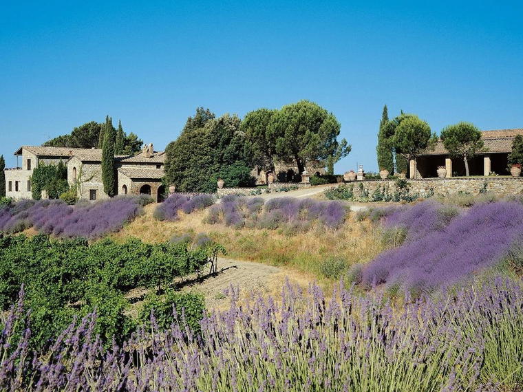 Agricola Poggio Rubino, Montalcino, Italy