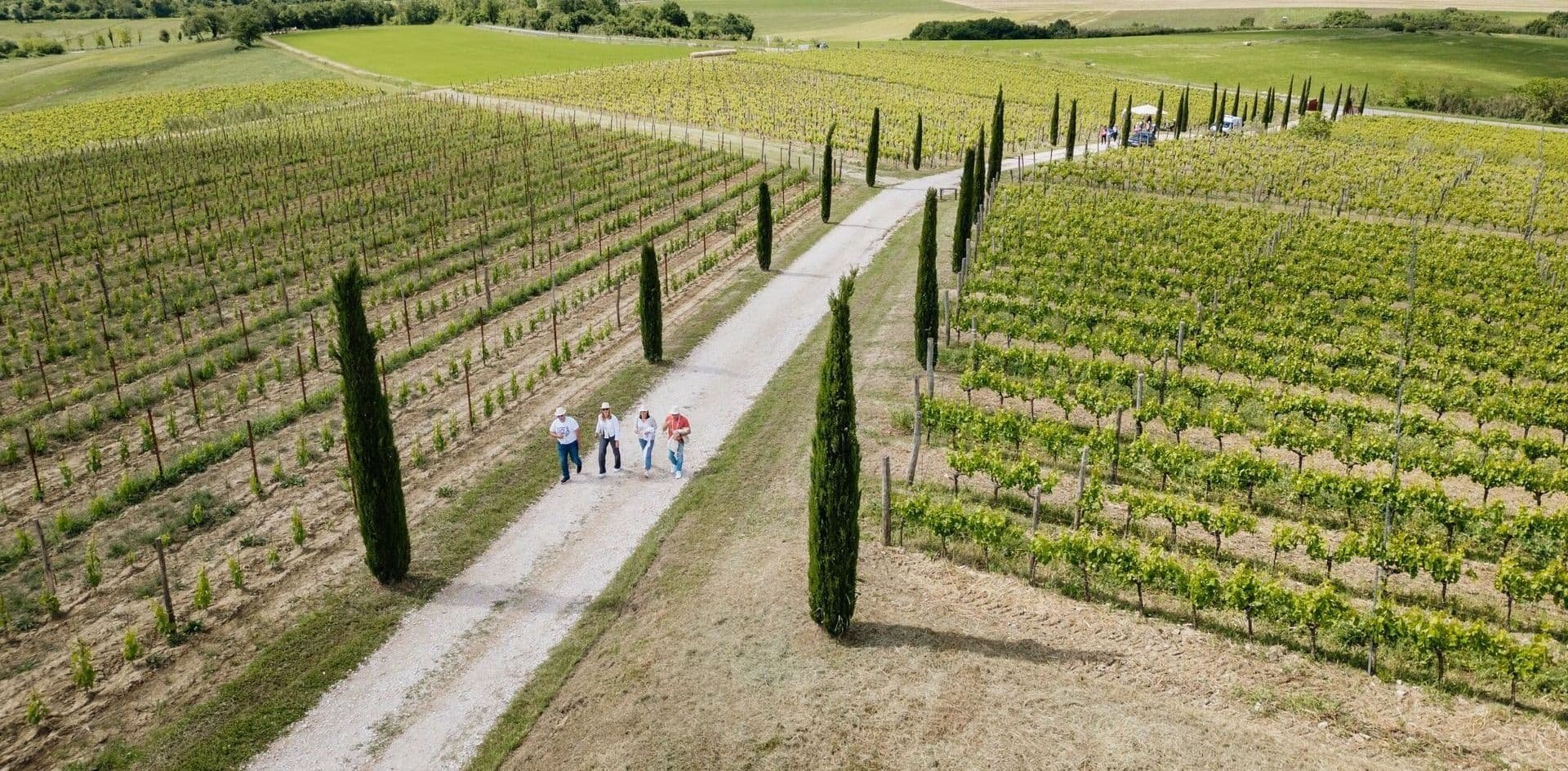 Bastian, Winery in Buje
