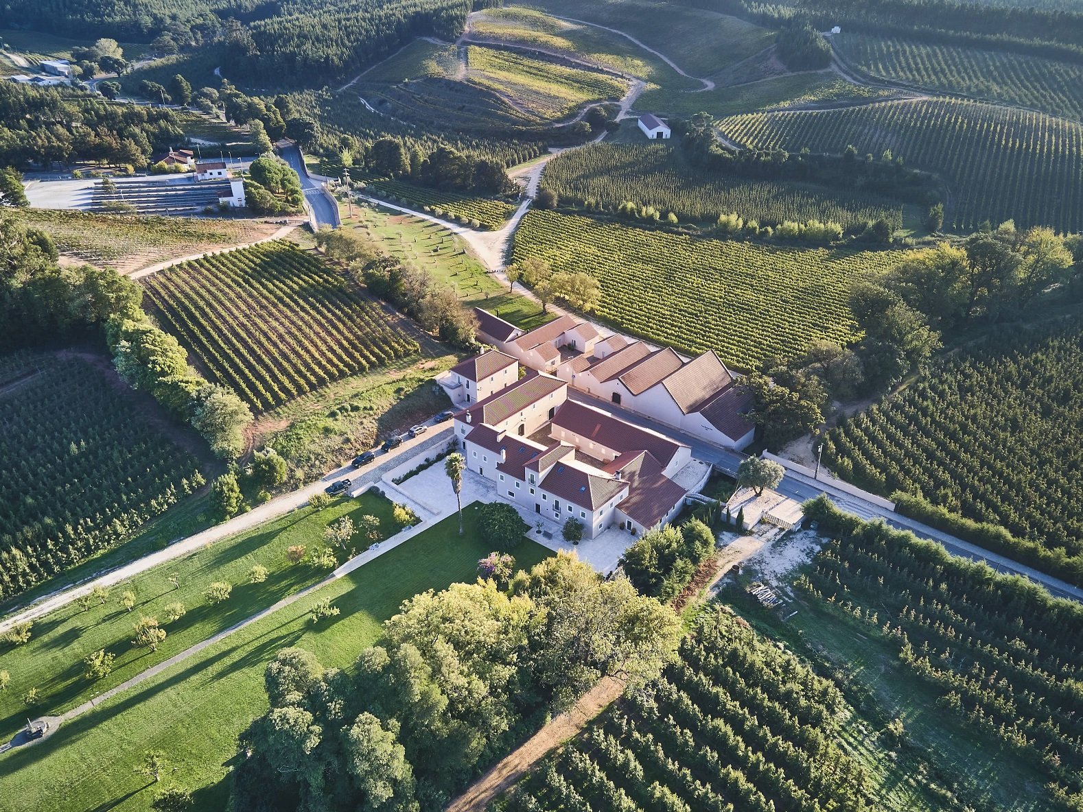 Casa Romana Vini, Cadaval, Portugal