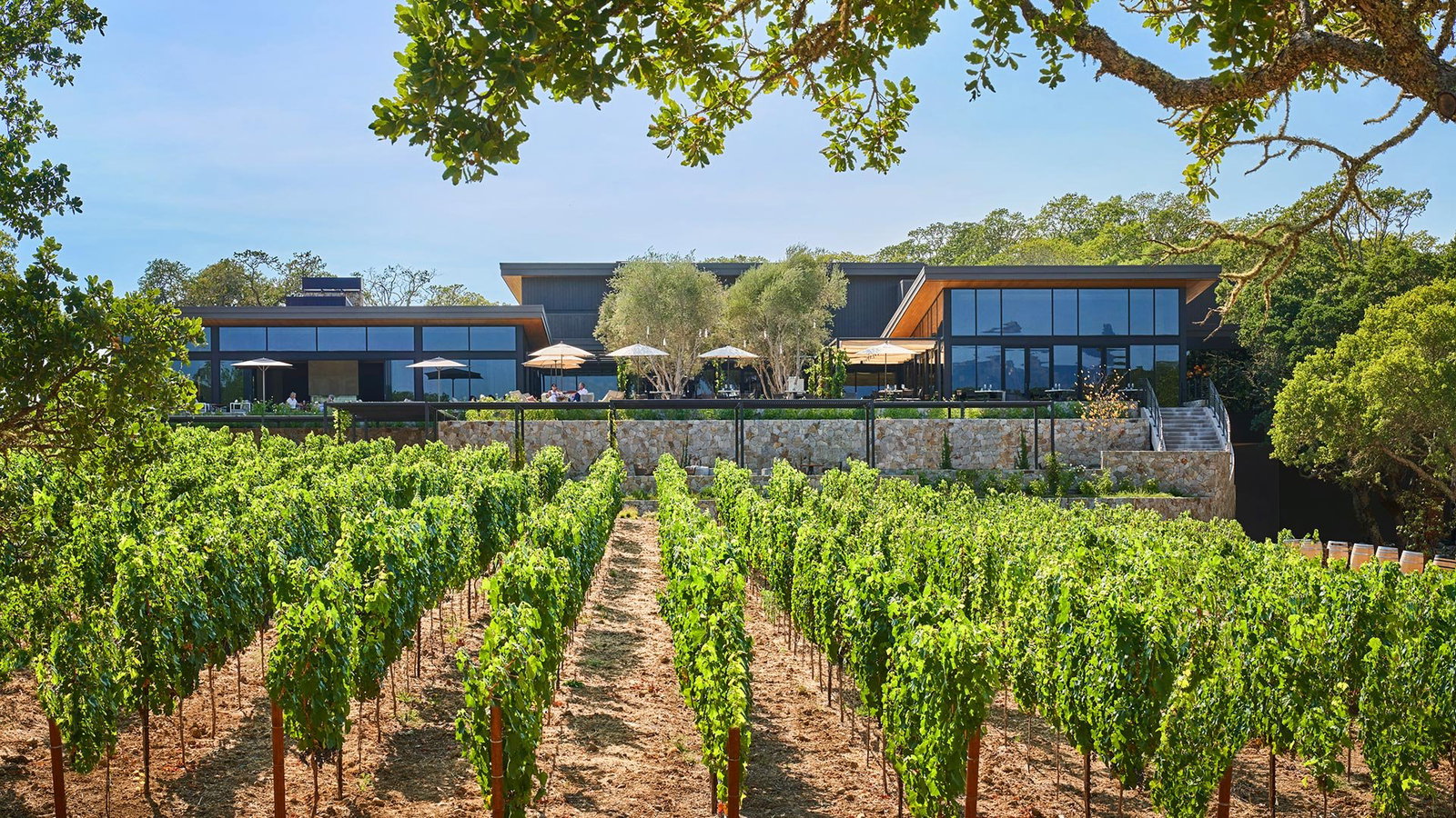 Angels & Cowboys Wines, Healdsburg, United States