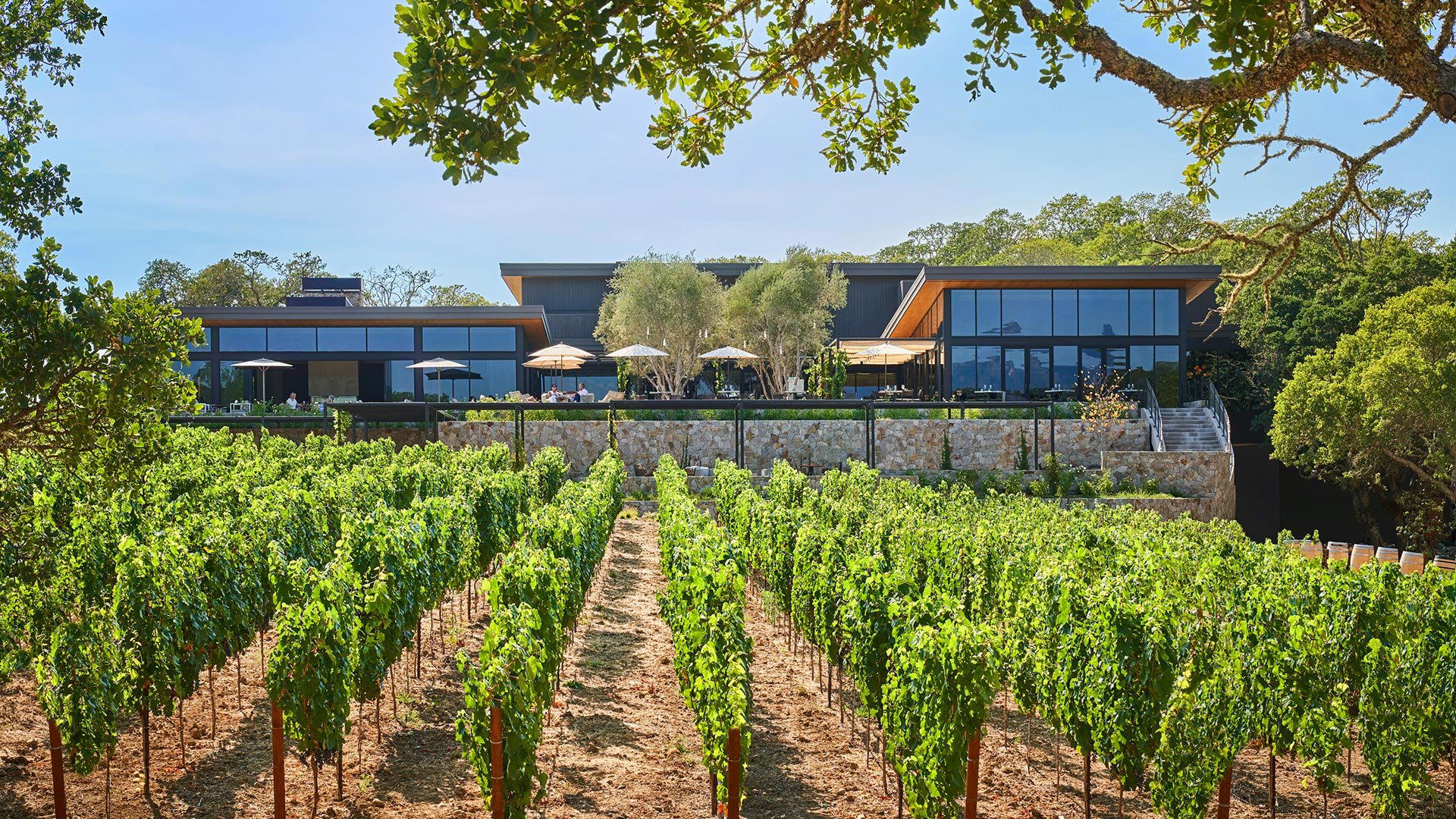 Angels & Cowboys Wines, Healdsburg, United States