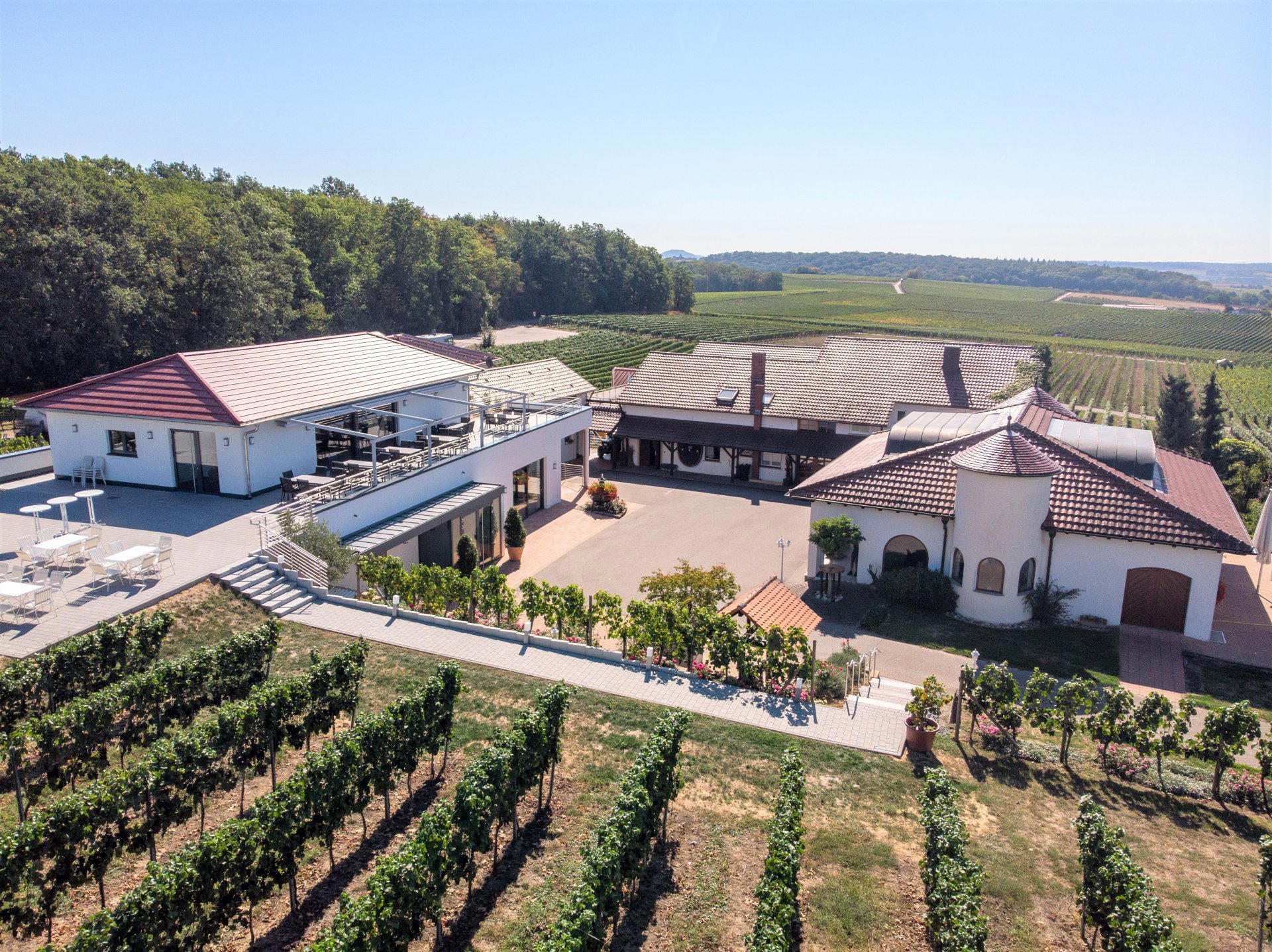 Weingut Kurz-Wagner winery in Talheim