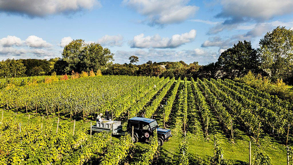 By Stokkebye winery in Nyborg, Denmark