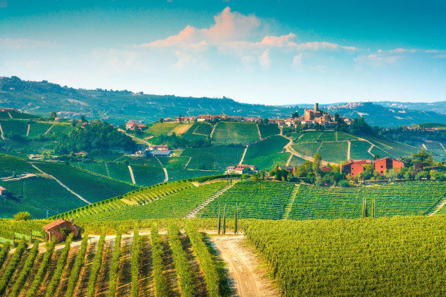 Azienda Agricola Montaribaldi winery in Barbaresco, Italy