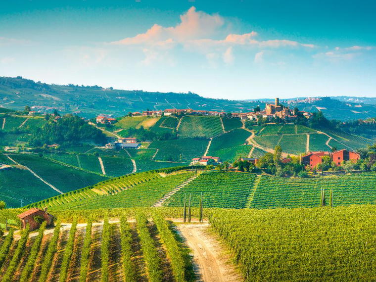 Azienda Agricola Montaribaldi, Barbaresco, Italy