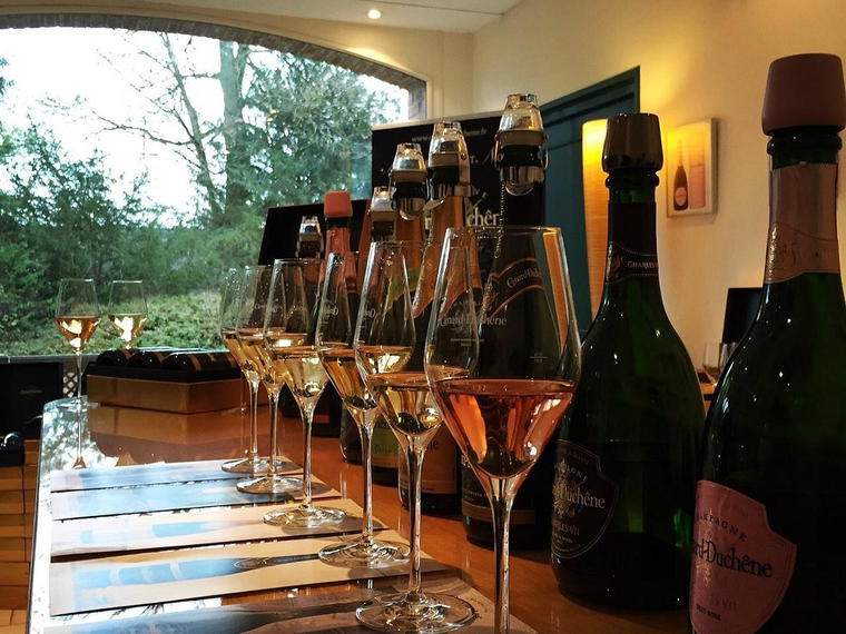 Champagne Monmarthe, Ludes, France
