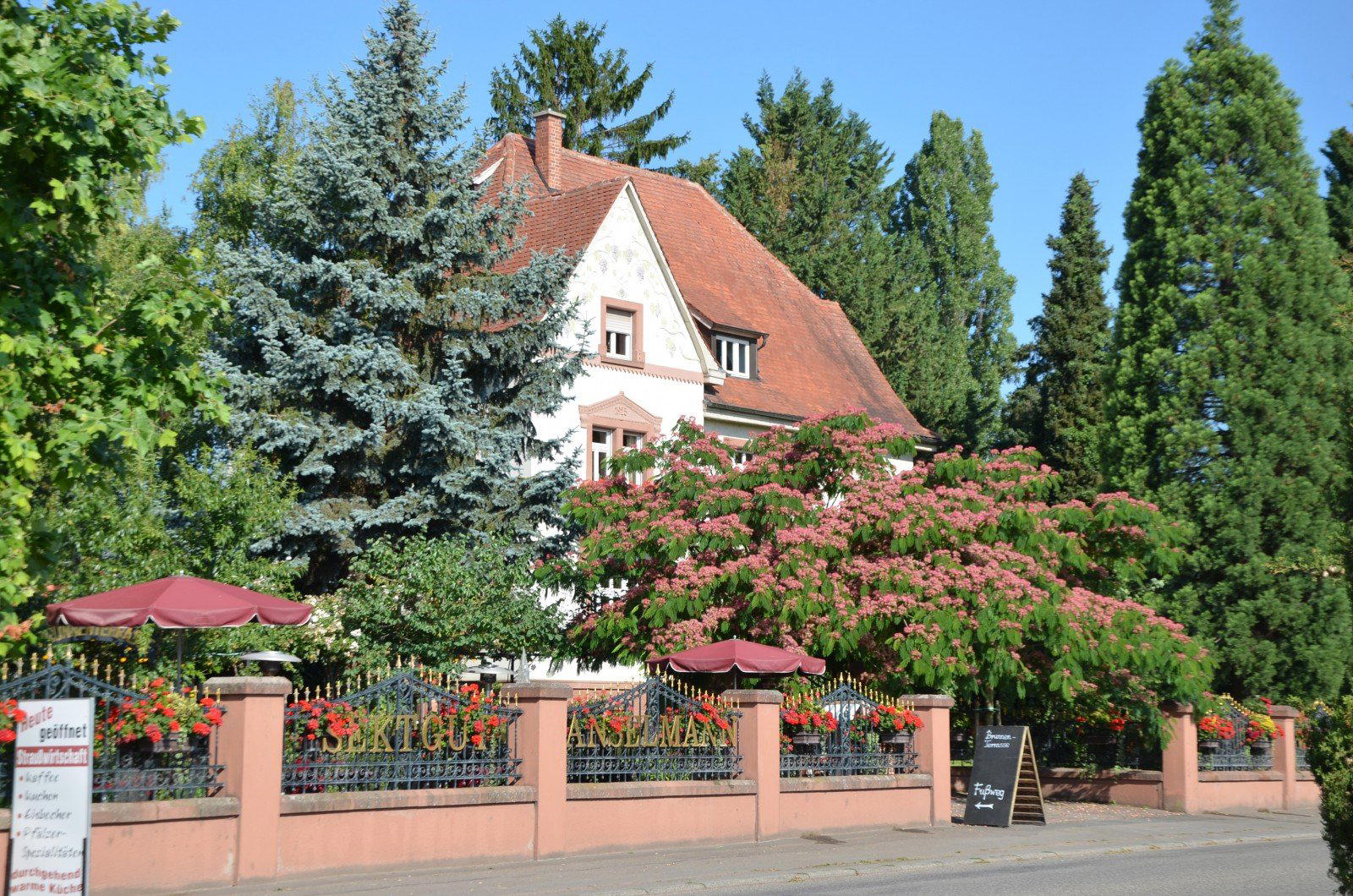 Weingut Anselmann winery in Edesheim