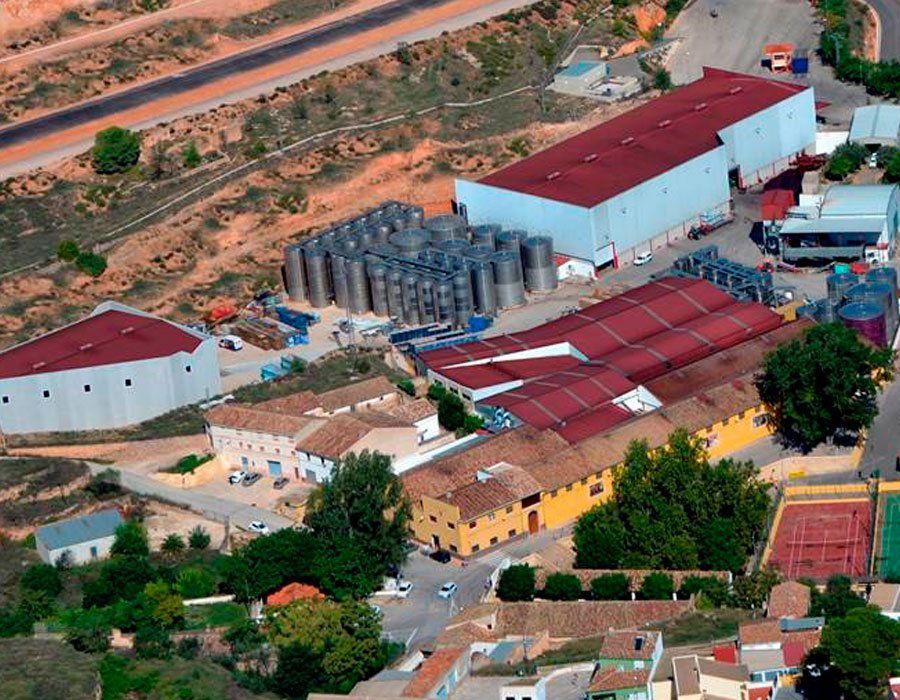 Bodega La Viña, Winery in Font De La Figuera