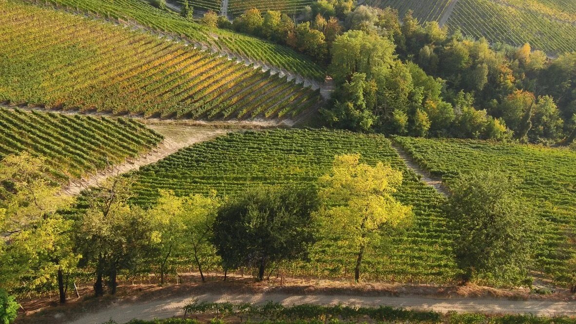 Ettore Germano, Serralunga d'Alba, Italy