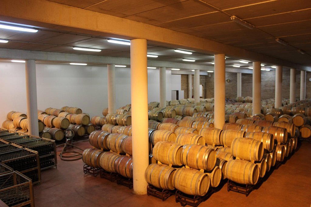 Bodegas y Viñedos Nekeas winery in Anorbe