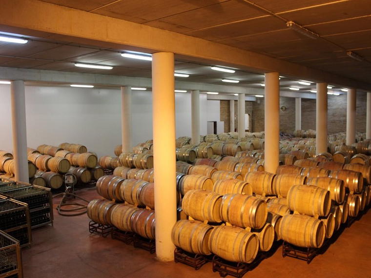 Bodegas y Viñedos Nekeas, Anorbe, Spain