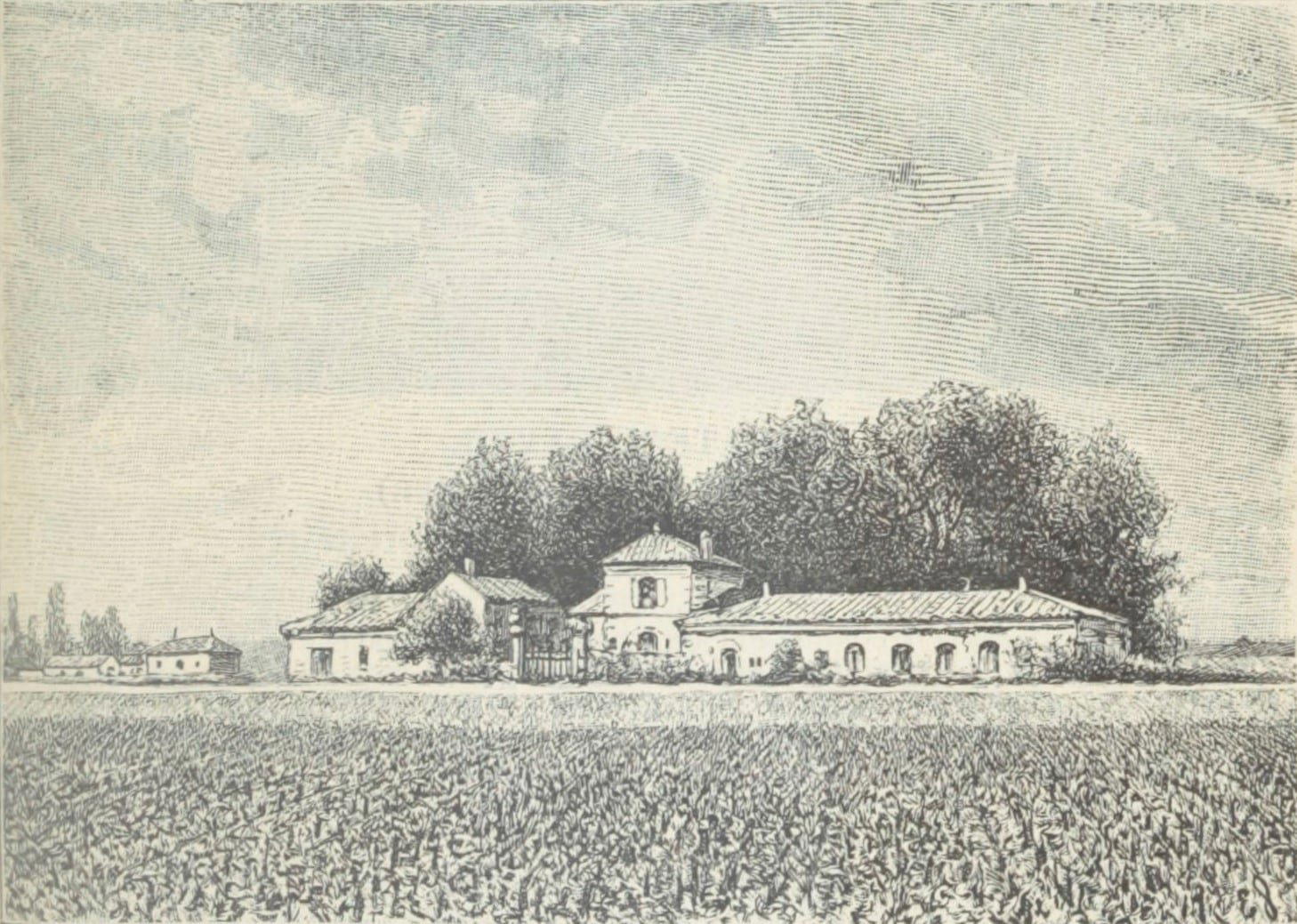 Château Bel Air – Marquis d'Aligre winery in Soussans