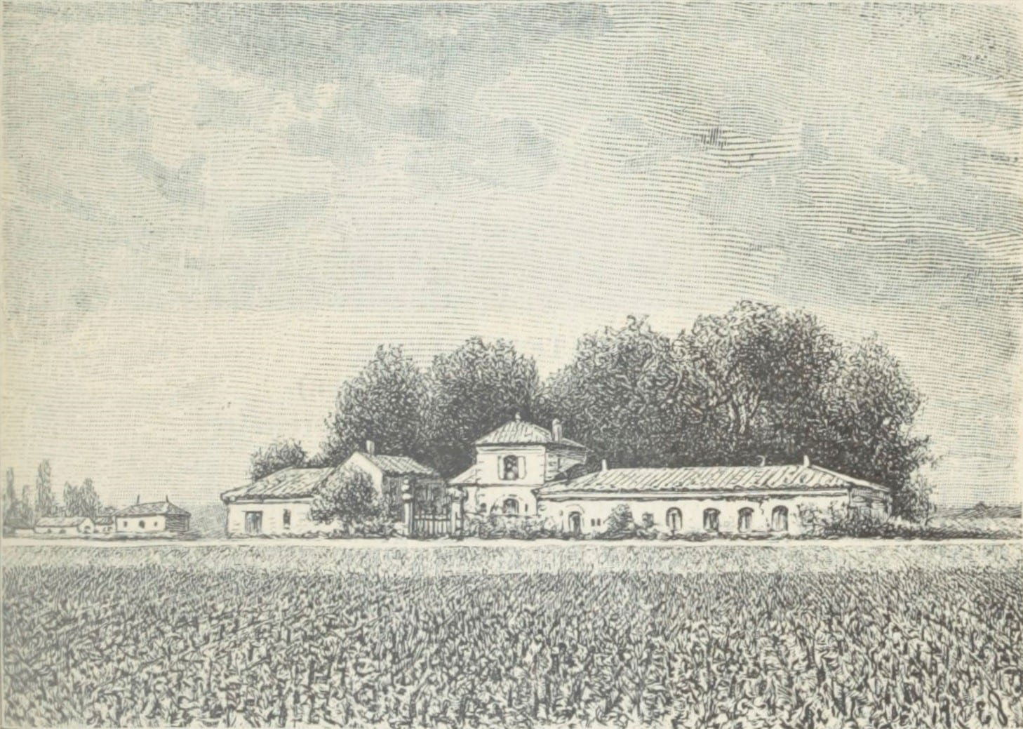 Château Bel Air – Marquis d'Aligre, Winery in Soussans