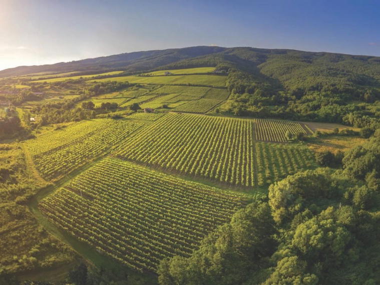 Kutjevo, Kutjevo, Croatia