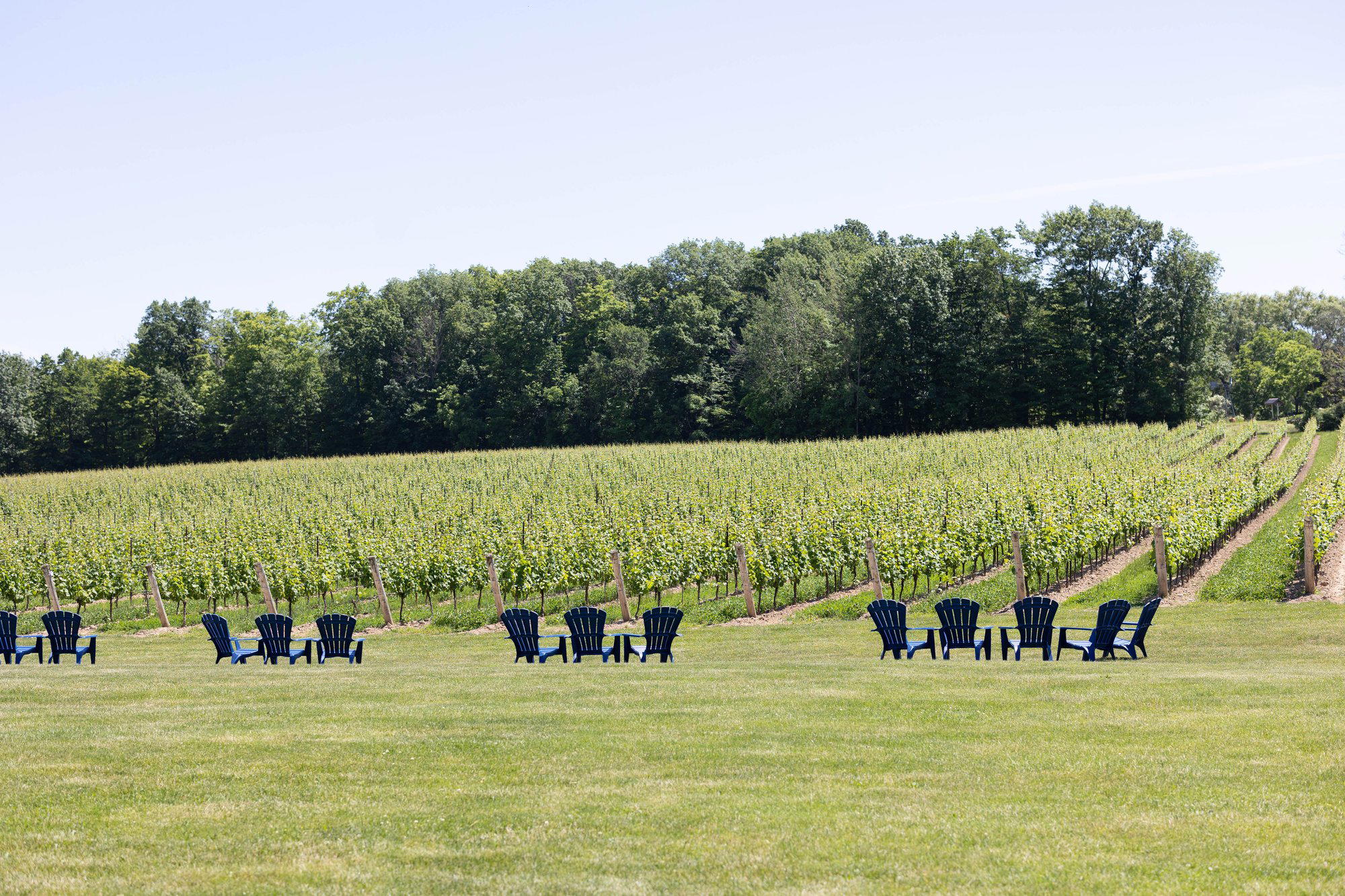 Thirty Bench Wine Makers winery in Beamsville