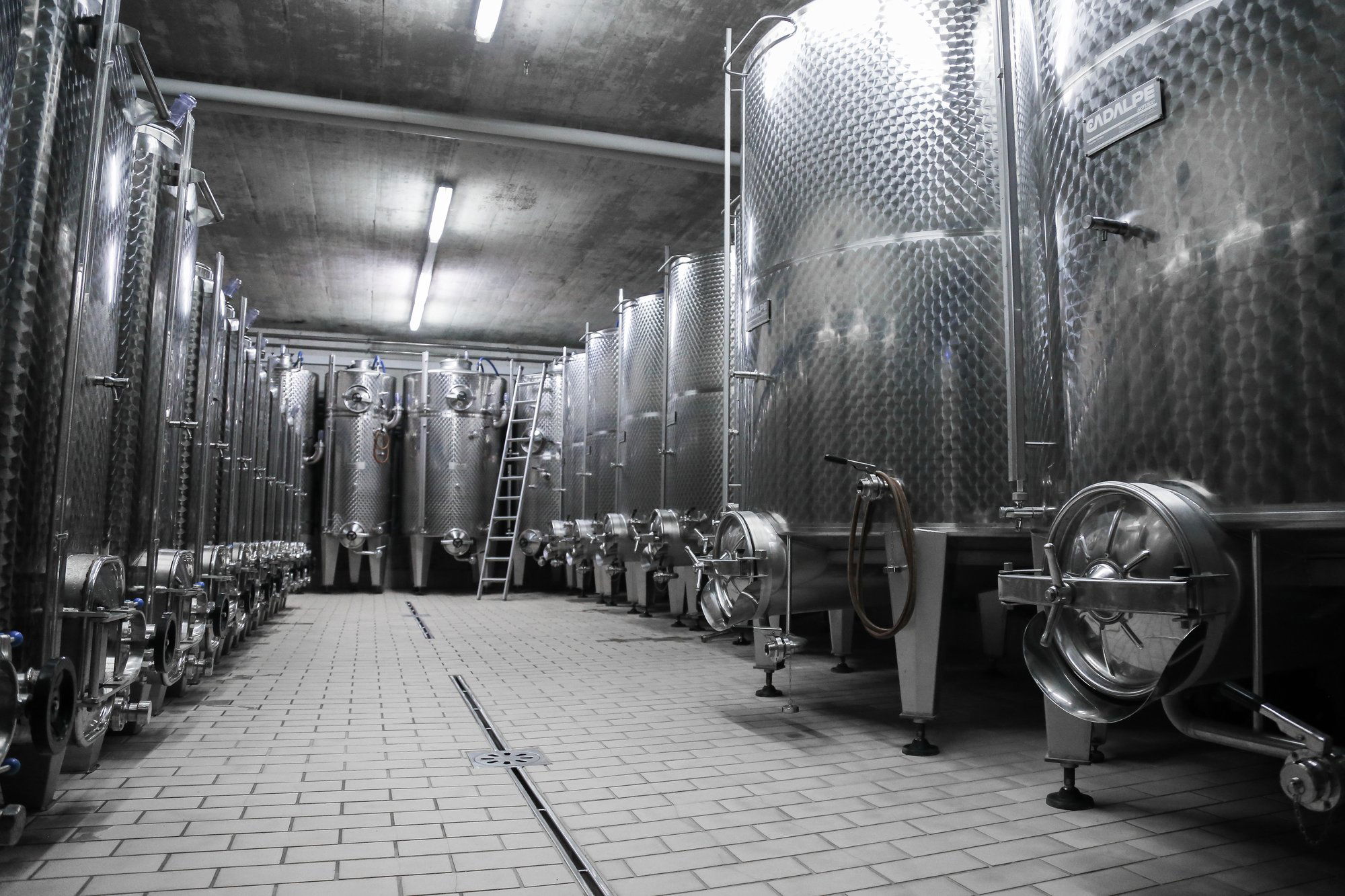 Cave des Bernunes, Winery in Sierre