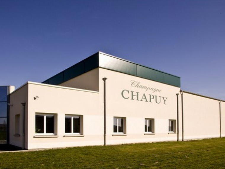 Champagne Chapuy, Oger, France