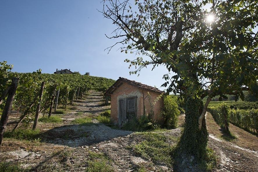 Cascina Ballarin, Winery in La Morra