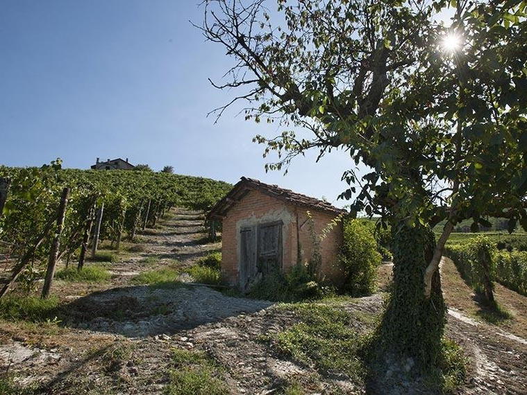 Cascina Ballarin, La Morra, Italy