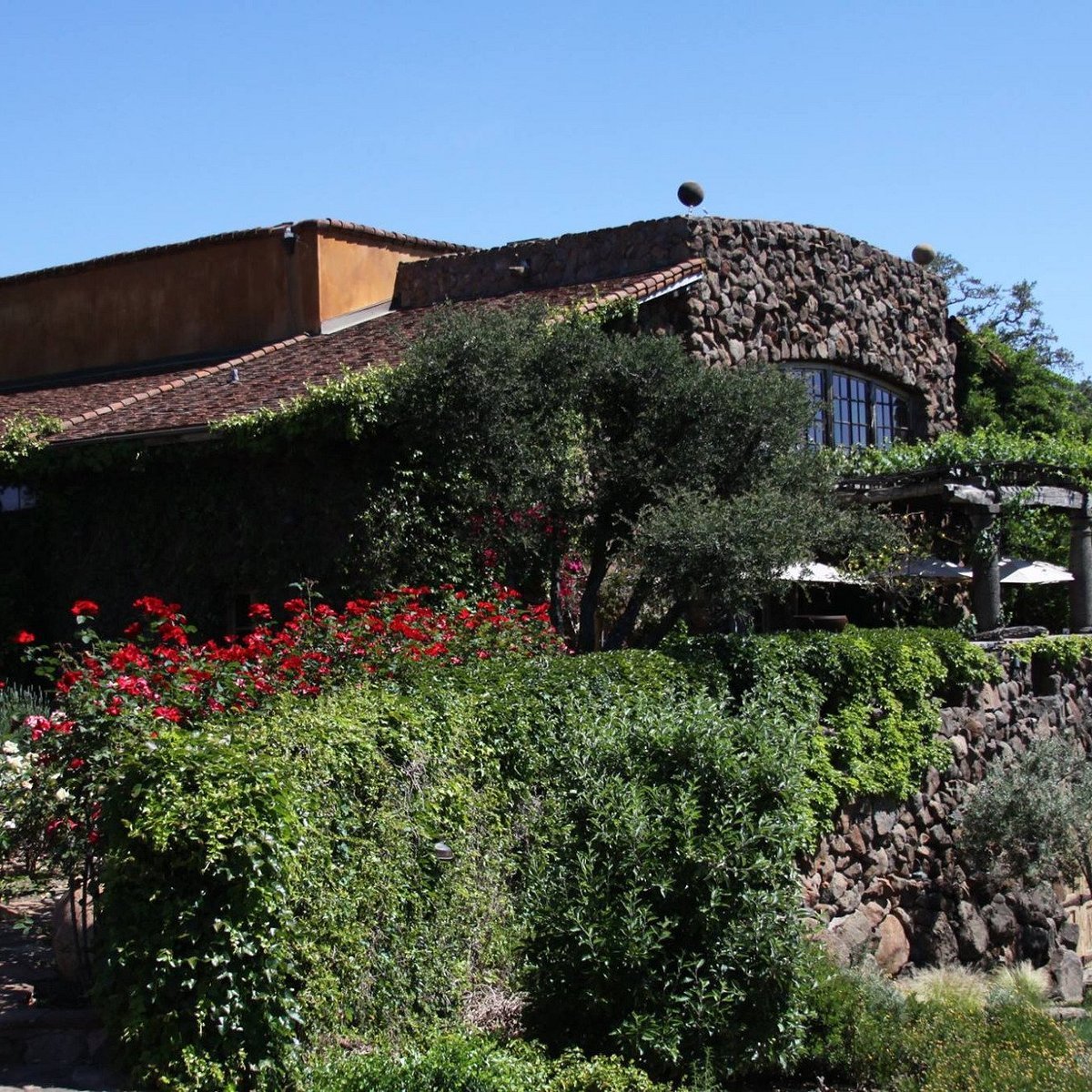 William Harrison Vineyards, Rutherford, United States
