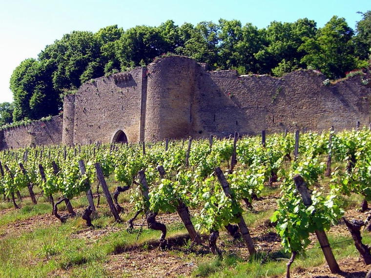 Château d'Arlay, Arlay, France