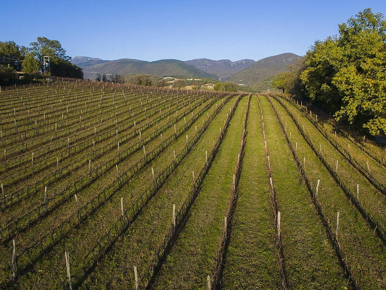 Cantine Provima, Matelica, Italy
