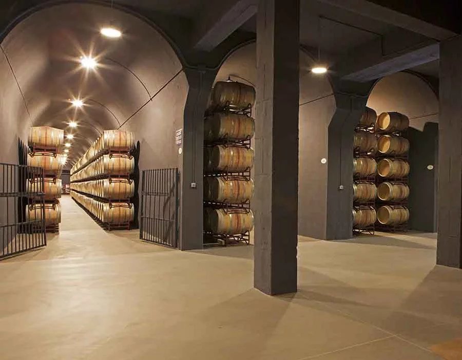 Bodegas Palacio 1894, Winery in Laguardia