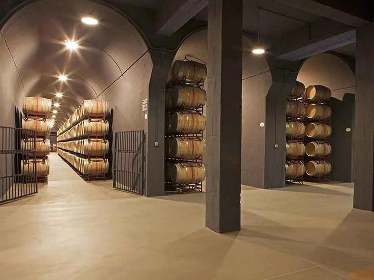 Bodegas Palacio 1894, Laguardia, Spain