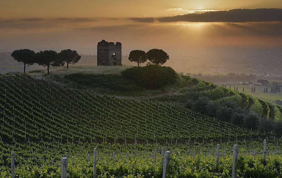 Principe Pallavicini winery in Colonna