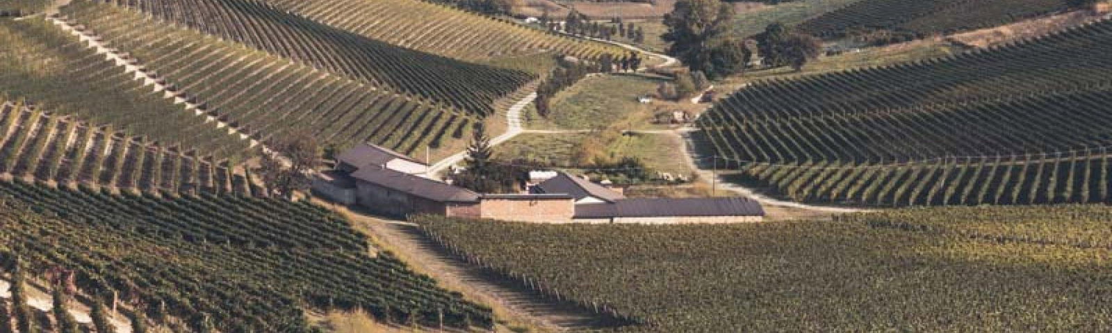 Cascina Vèngore, Cisterna D Asti, Italy