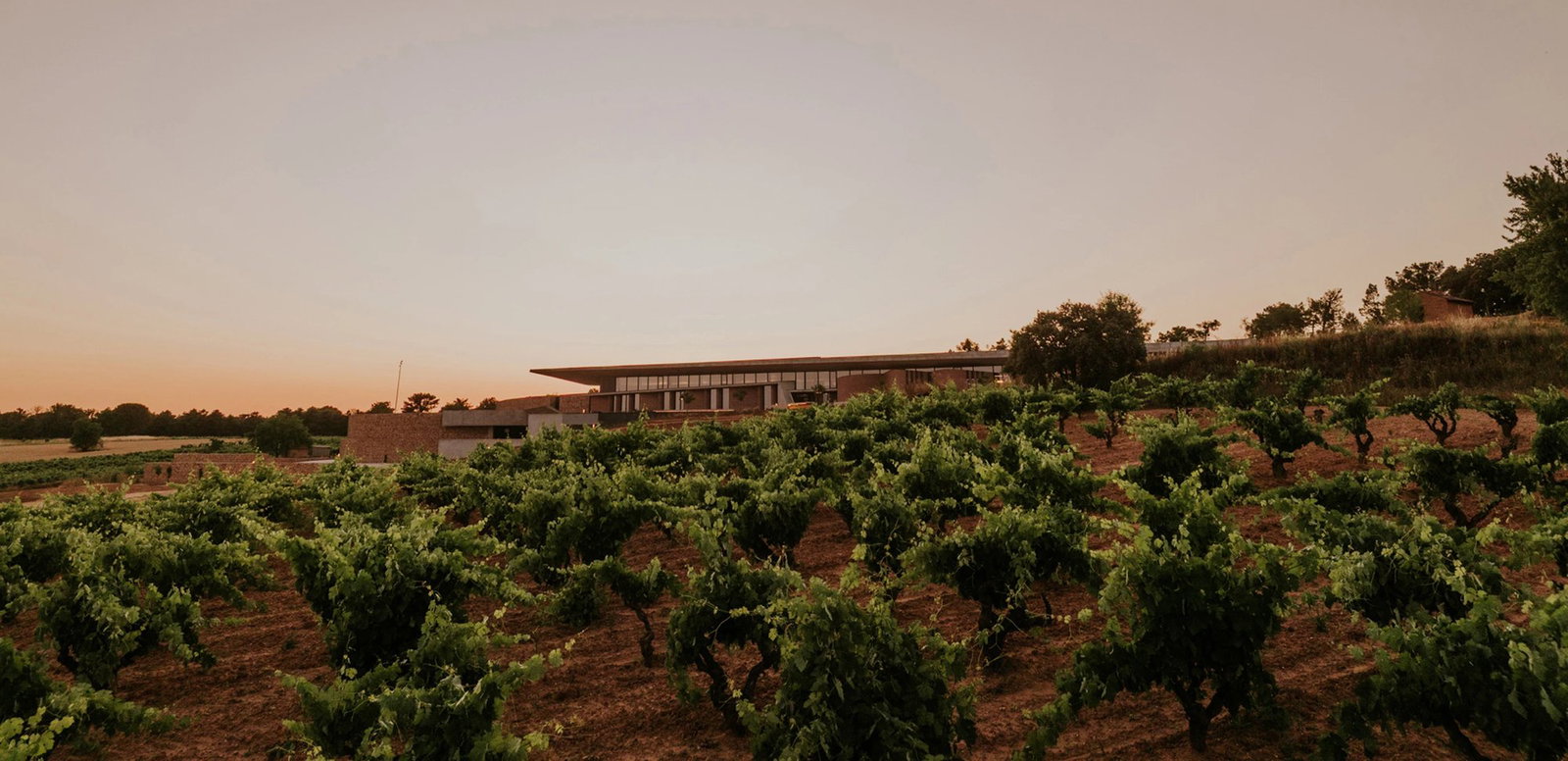 Bodegas La Horra, La Horra, Spain