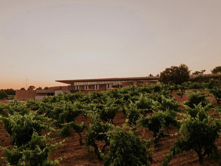 Bodegas La Horra, La Horra, Spain