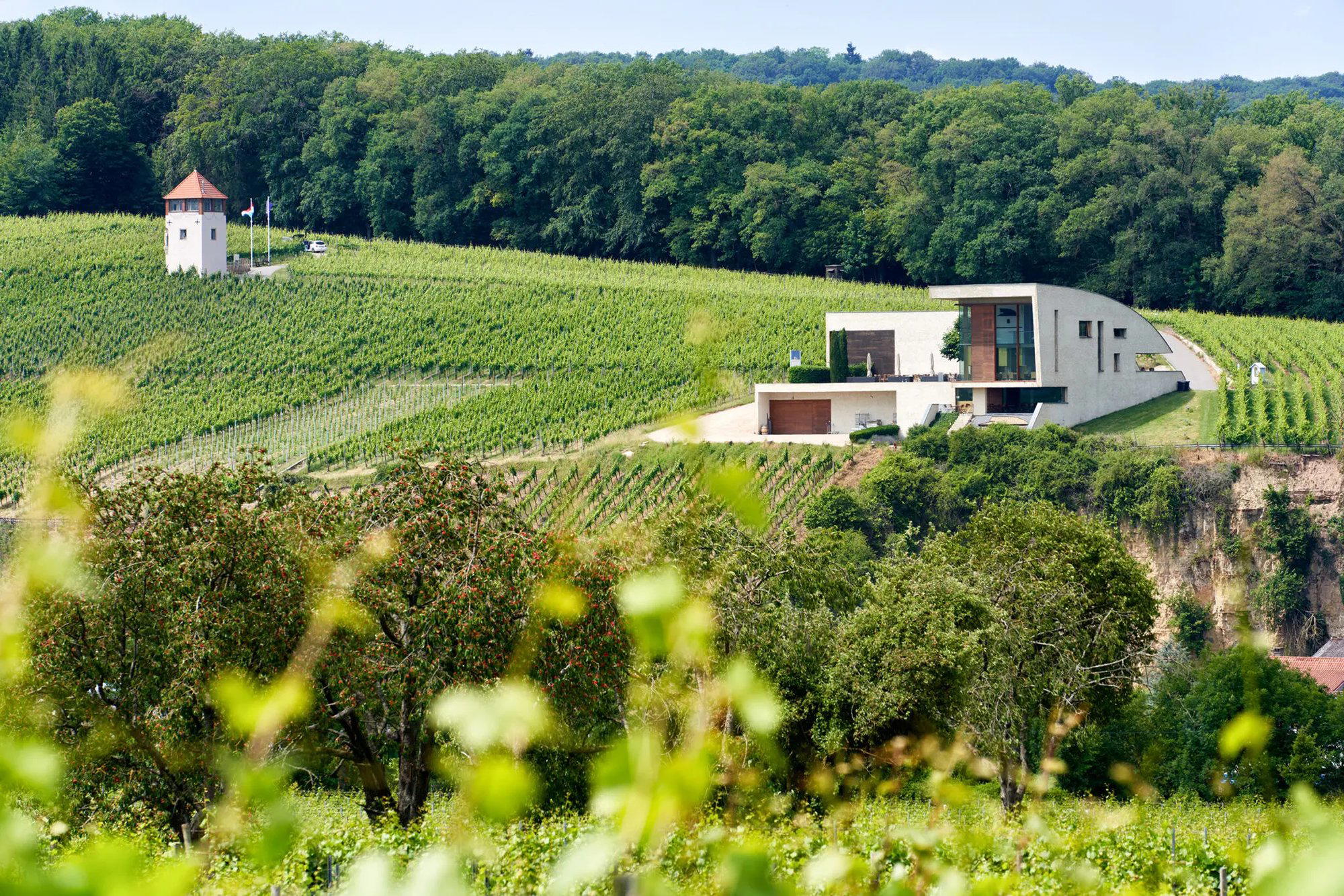 Domaine Henri Ruppert winery in Schengen