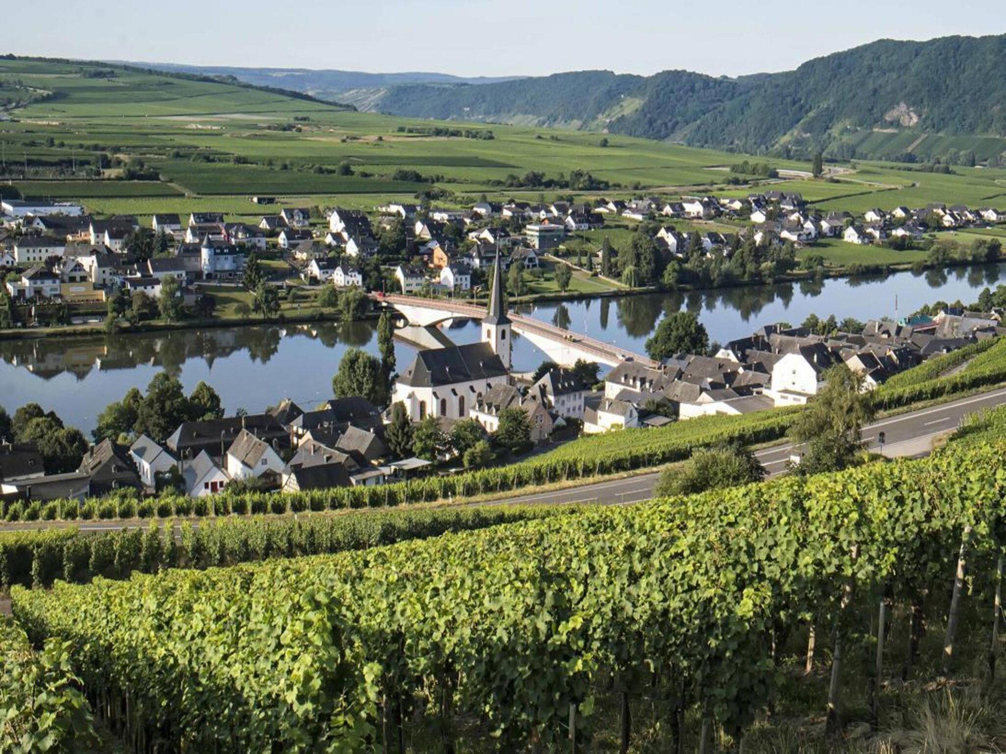 Weingut Breit winery in Piesport