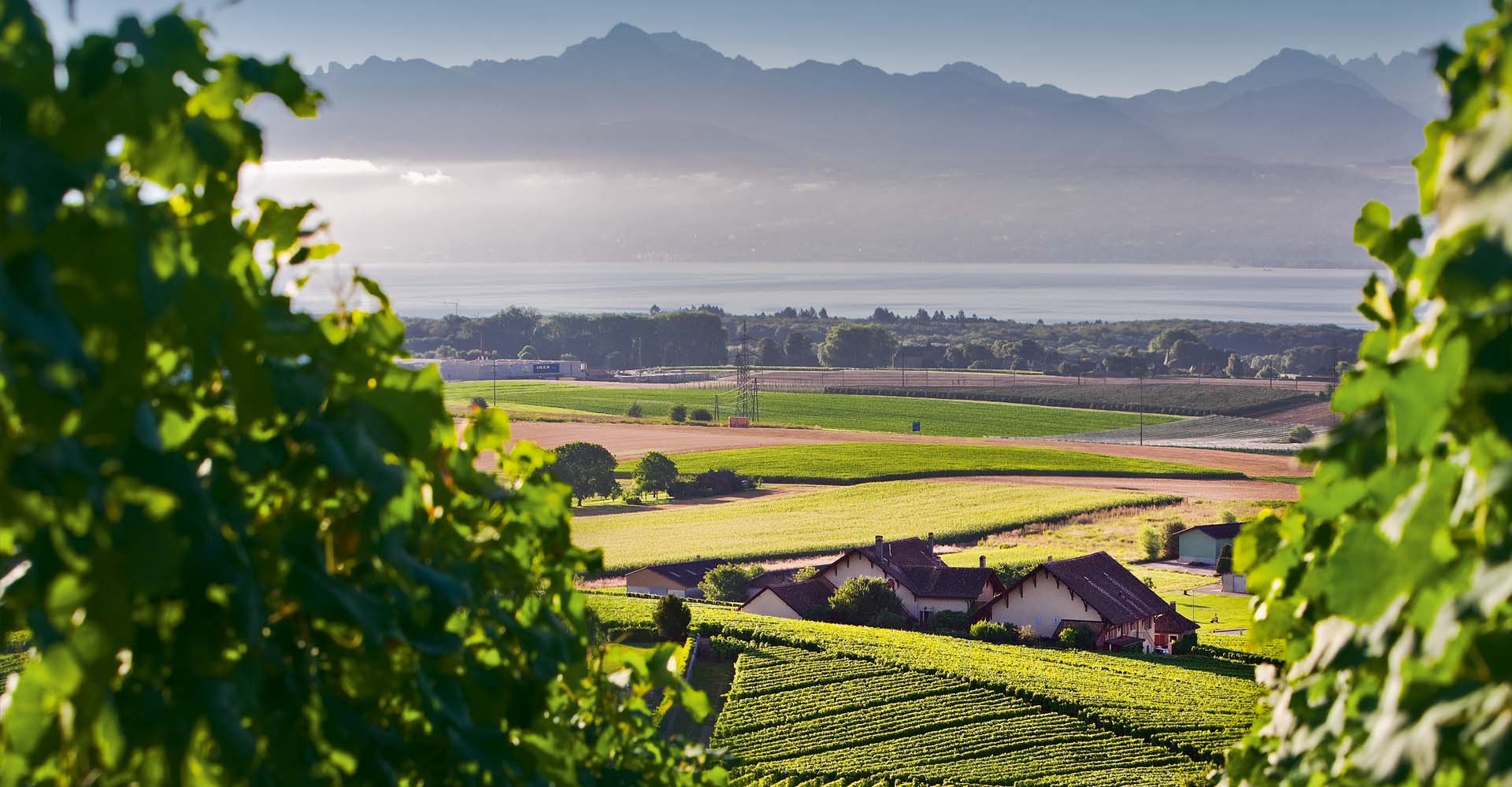 Domaine du Martheray, Winery in Fechy