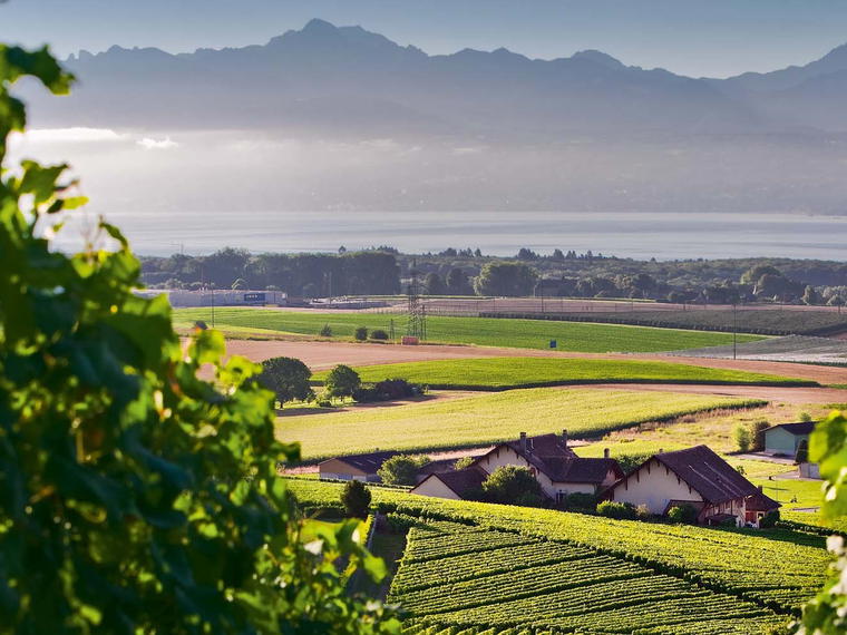 Domaine du Martheray, Fechy, Switzerland