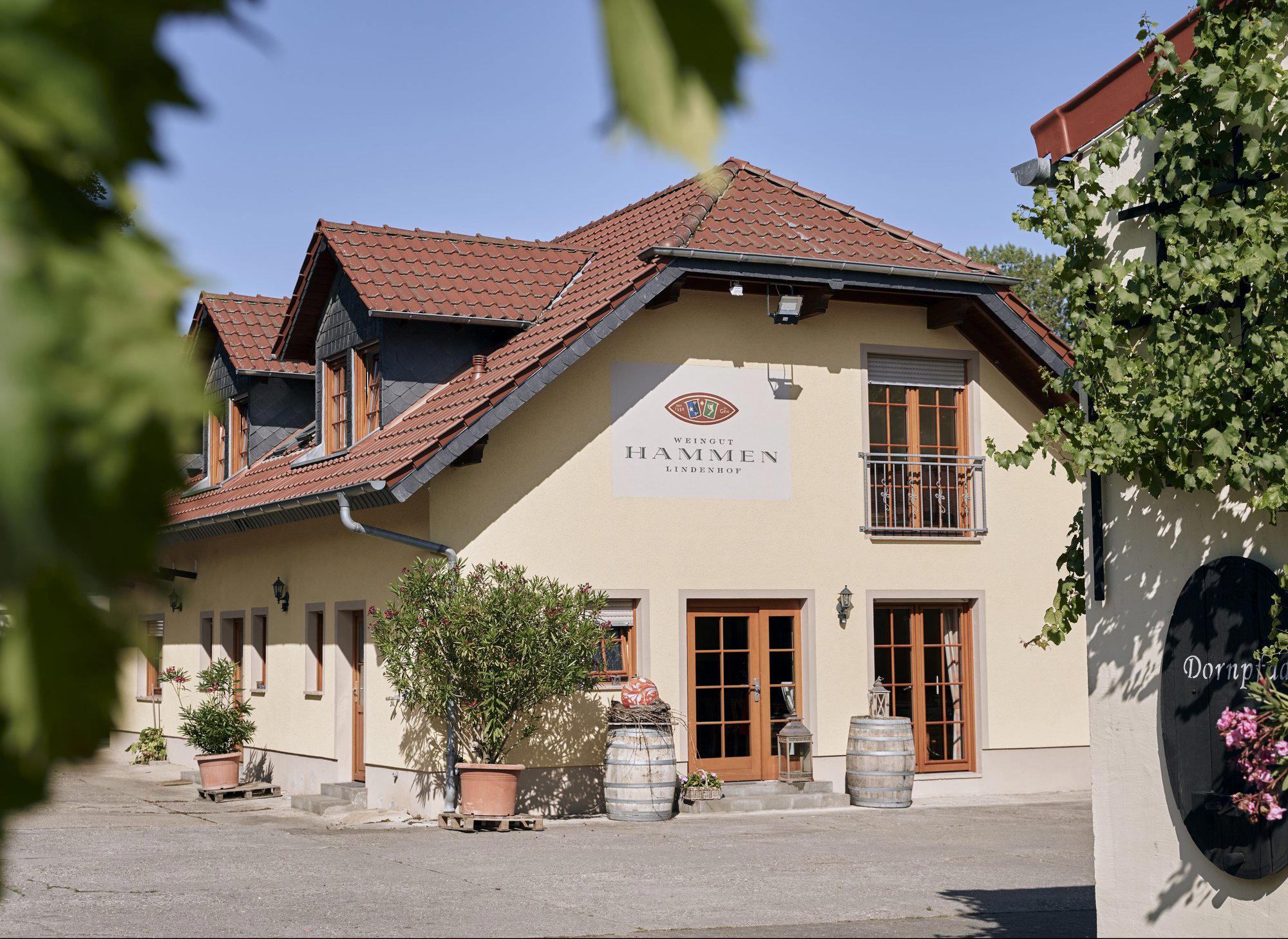 Weingut Hammen winery in Schornsheim