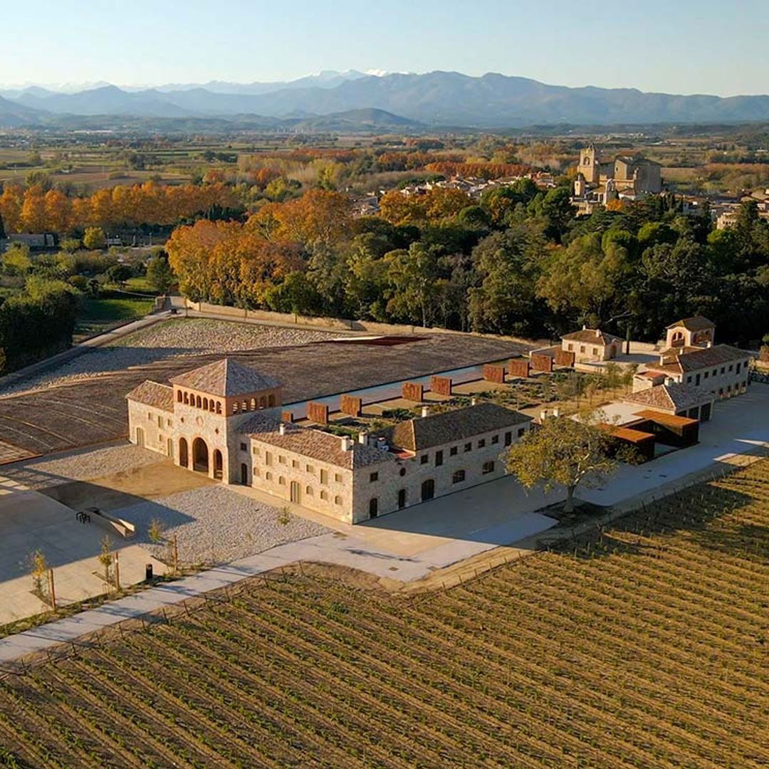 Bodegas Mas Alta, Winery in Viella Alta