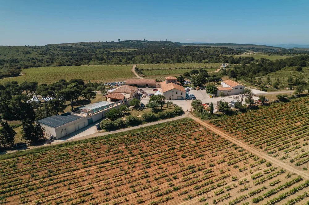Chateau Camplazens, Winery in Armissan