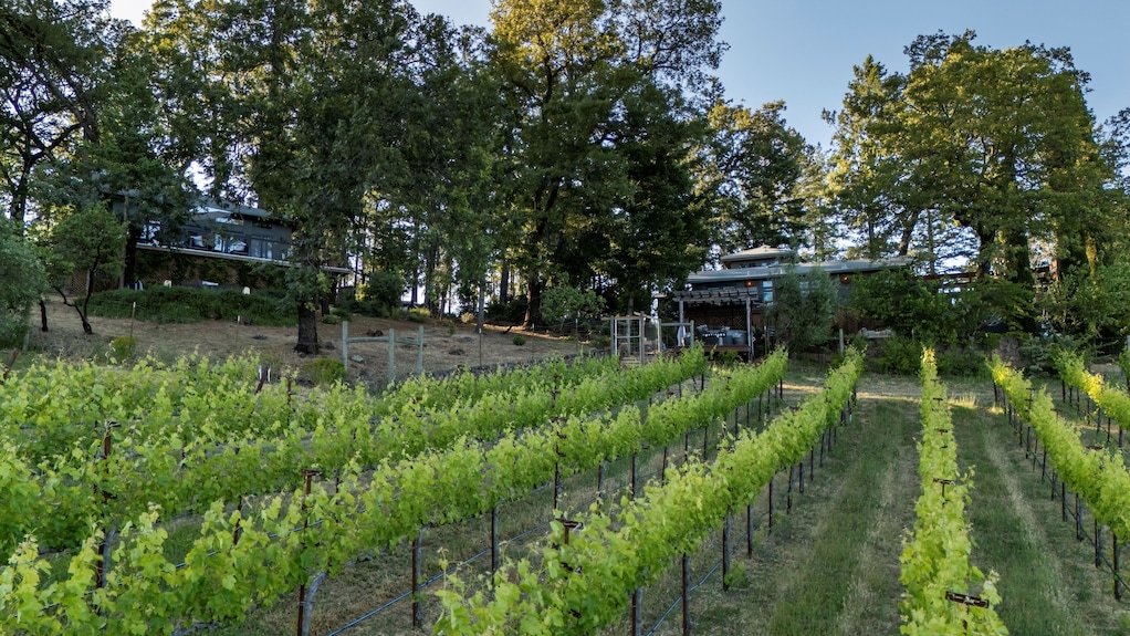 Vineyard 7&8