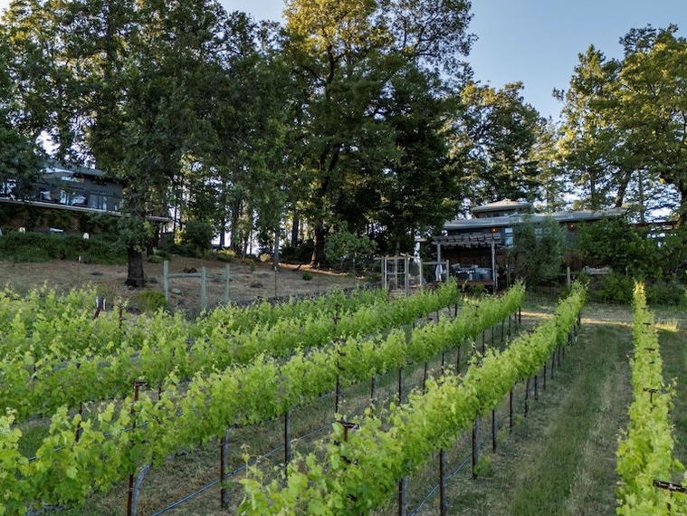 Vineyard 7&8, Spring Mountain District (St. Helena), United States