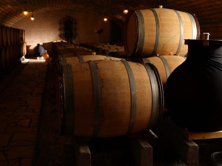 Domaine Paul Pillot, Chassagne-Montrachet, France