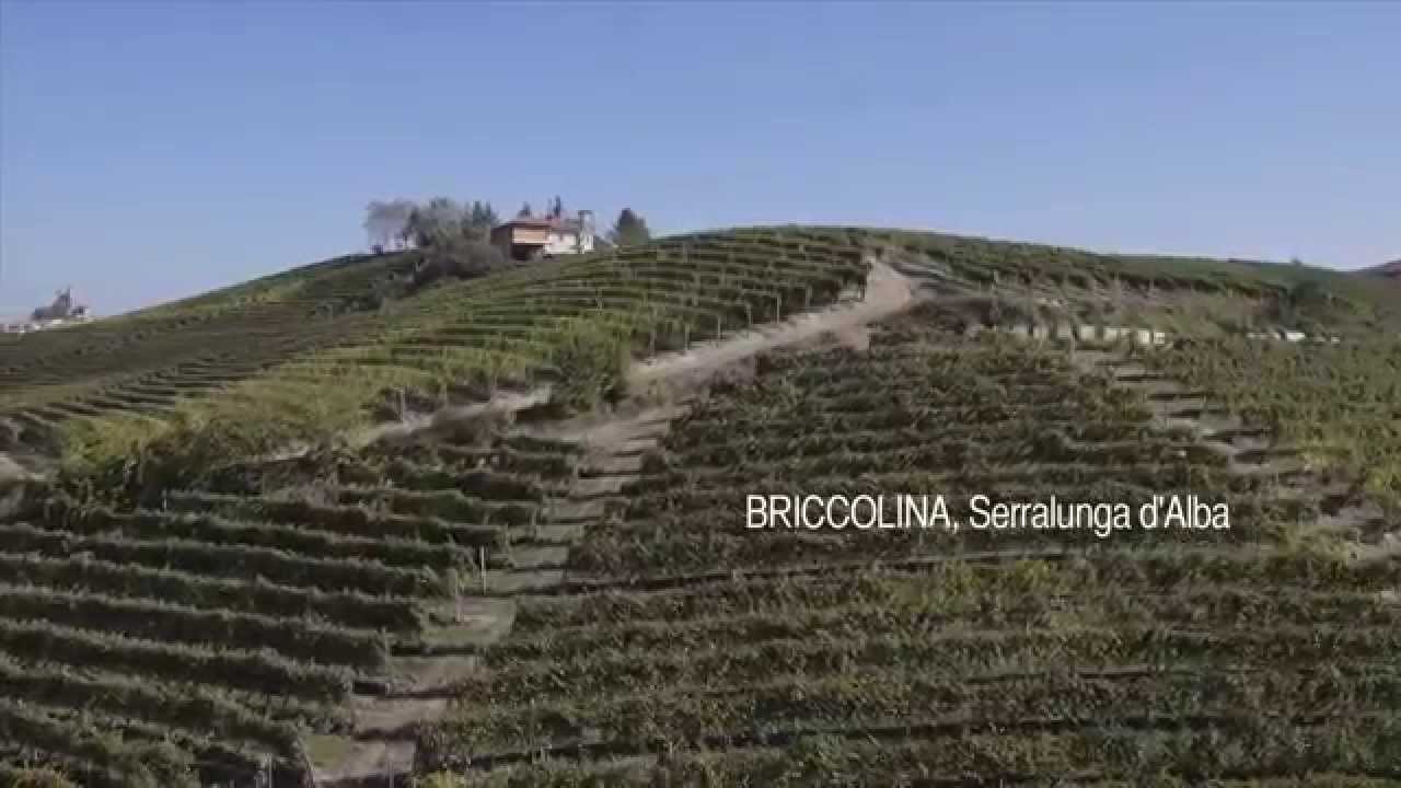 Batasiolo, Winery in La Morra