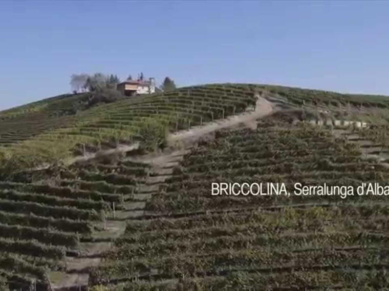 Batasiolo, La Morra, Italy