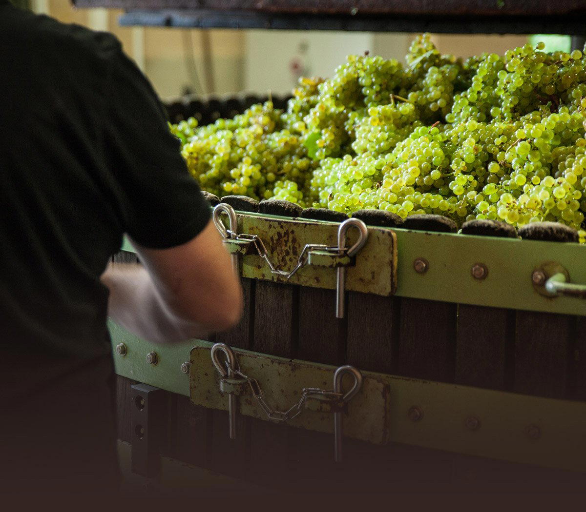 Champagne Barrat-Masson winery in Villenauxe La Grande, France