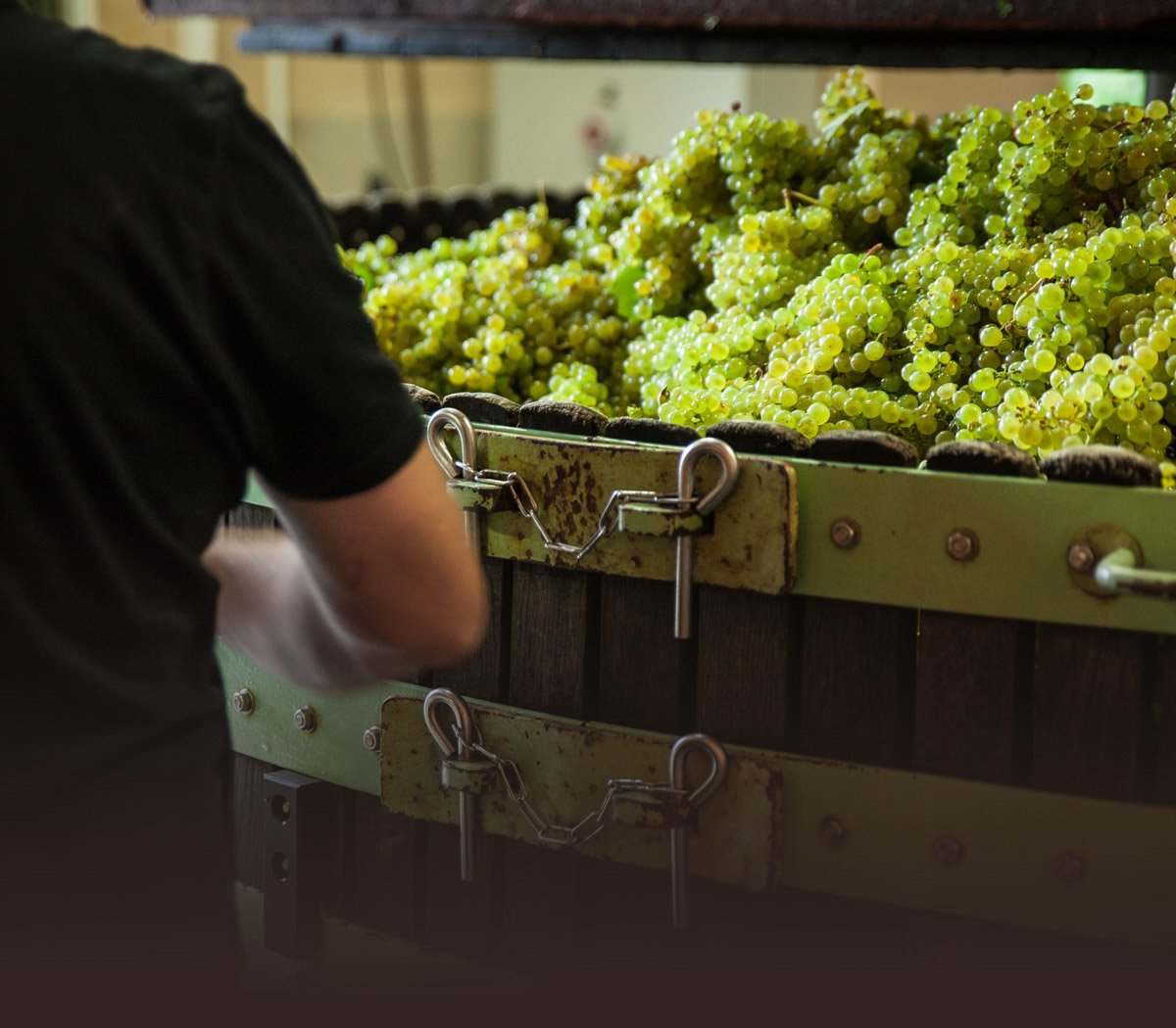 Champagne Barrat-Masson, Winery in Villenauxe La Grande