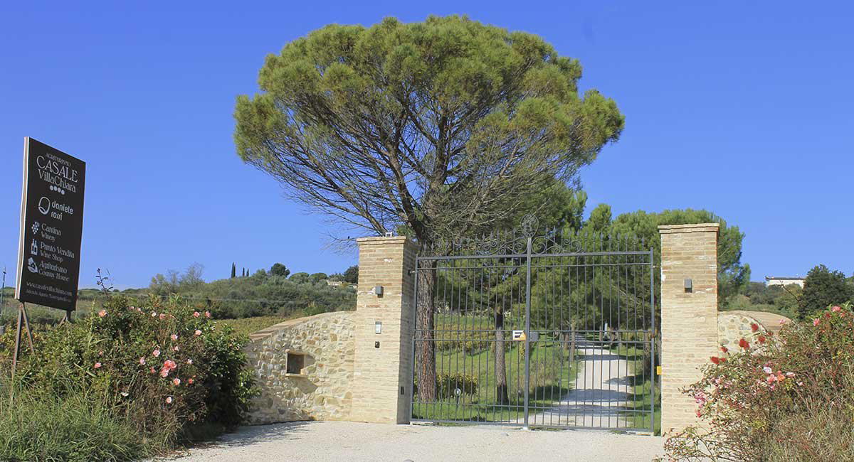 Cantina Daniele Rossi winery in Torgiano