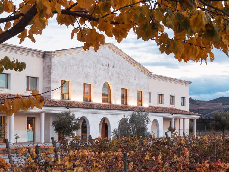 Bodega Matarromera, Valladolid, Spain