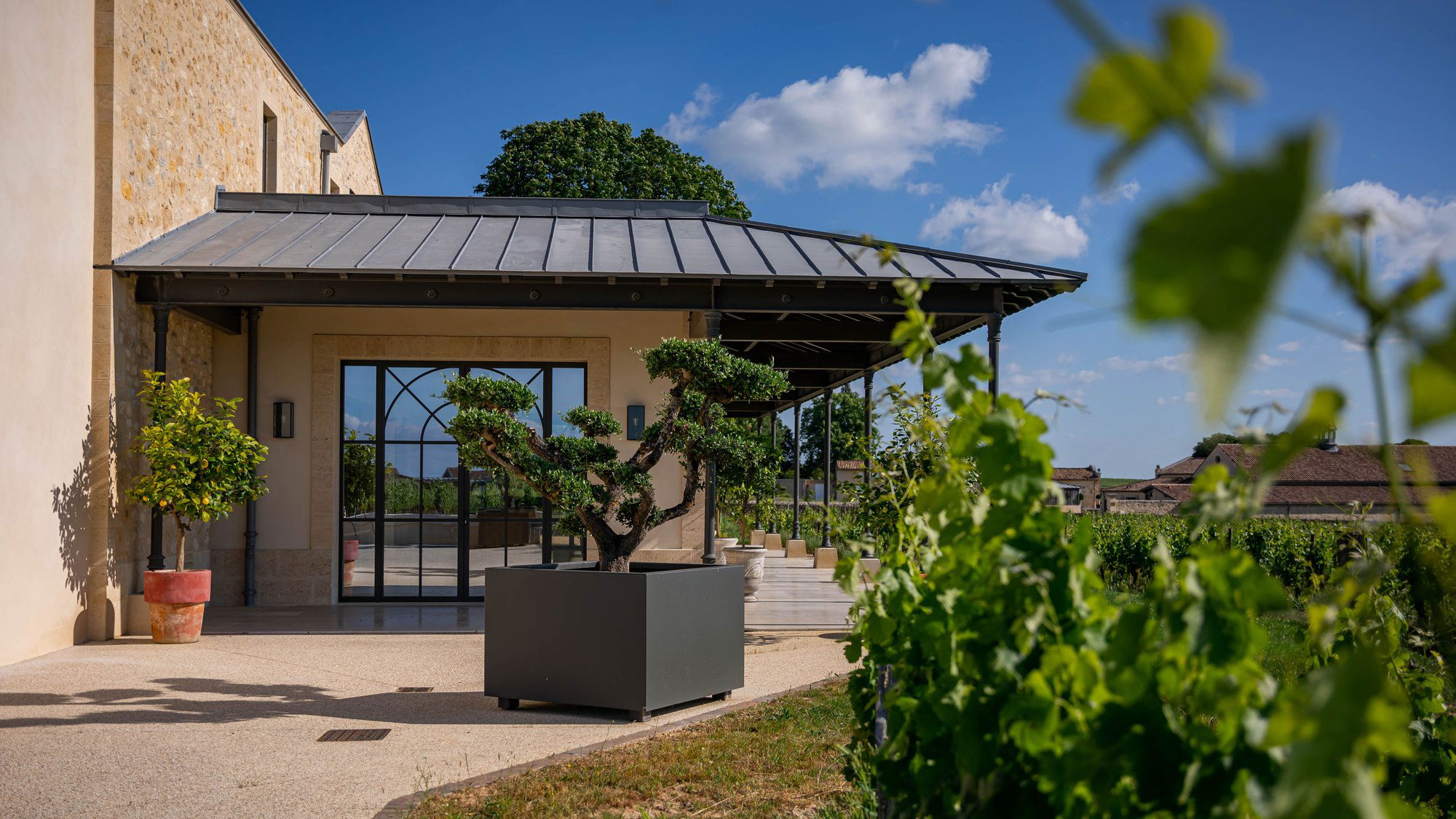 Château Larmande, Winery in Saint-Émilion