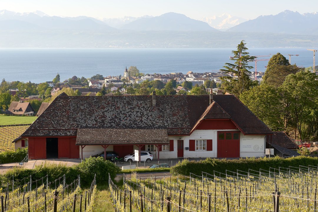 Cave Cidis, Tolochenaz, Switzerland